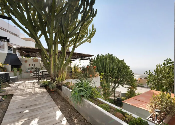 Pardelo Лос Менорес